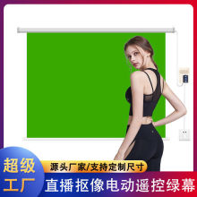 丽虹网红直播间自动升降背景绿幕电动遥控抠像布幕定制喷绘电动幕
