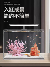 ���溣����ɺ����֦��ɫ��ɫ����쾰ˮ����װ�ΰڼ���������