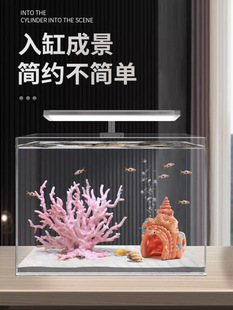 ���溣�F��ɺ����֦��ɫ�tɫ�~���쾰ˮ�����b[����������