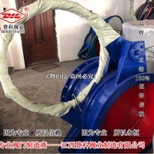 úy քäy Ry ұyF943X-0.25C DN400316Ly