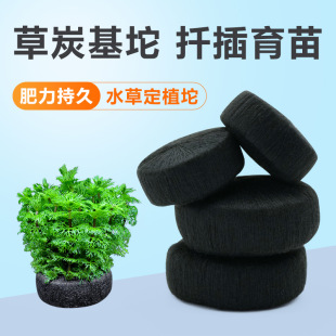 ˮ�ݶ�ֲ��DIY�~���쾰ǰ��ֲ��ˮ�ݠI�B�����˶�ֲ�쾰������