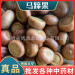 中药材风流果 山马蹄子 马蹄石莲花座天竺菩提子马蹄果工艺品原料