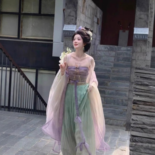 Song Dynasty Ancient Costume Hanfu Women's 2024 New Autumn Guofeng Tang Style Strapless Chebula Skirt Fairy Elegant Dance Skirt Winter