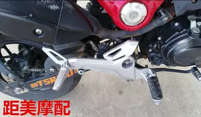 Electric vehicle pedal — Motorcycle Little Monkey Pedals, Electric