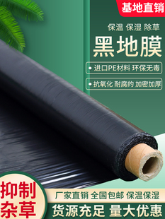 �r�üӺ��ɫ��Ĥ����Ĥ���ϱ�Ĥ����@�߲˴����ݮ���׌��÷N��