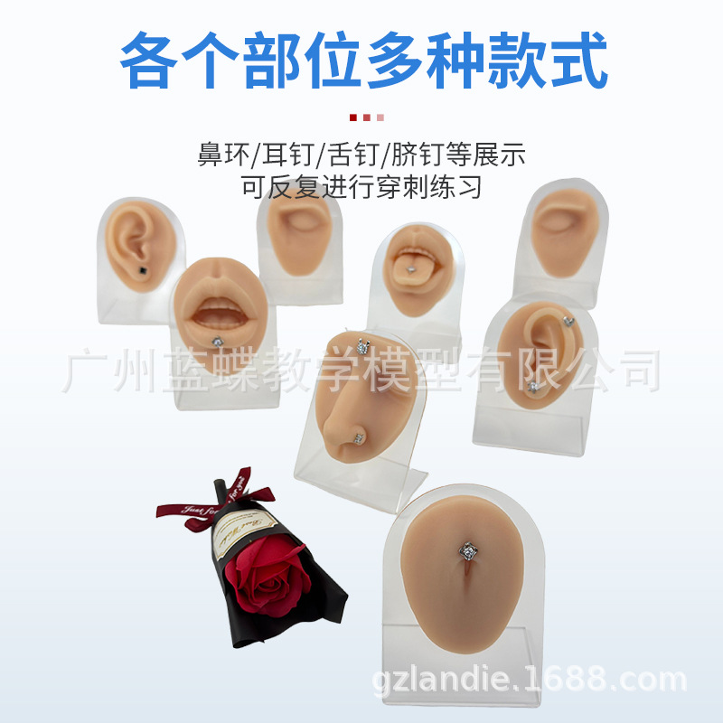 ����轺�����ϰģ�����ִ��׶�������۾�ü����ͷ�촽�궤ѧϰ