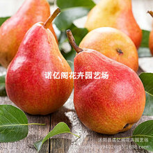 ޽ϱԵԹ箔Y