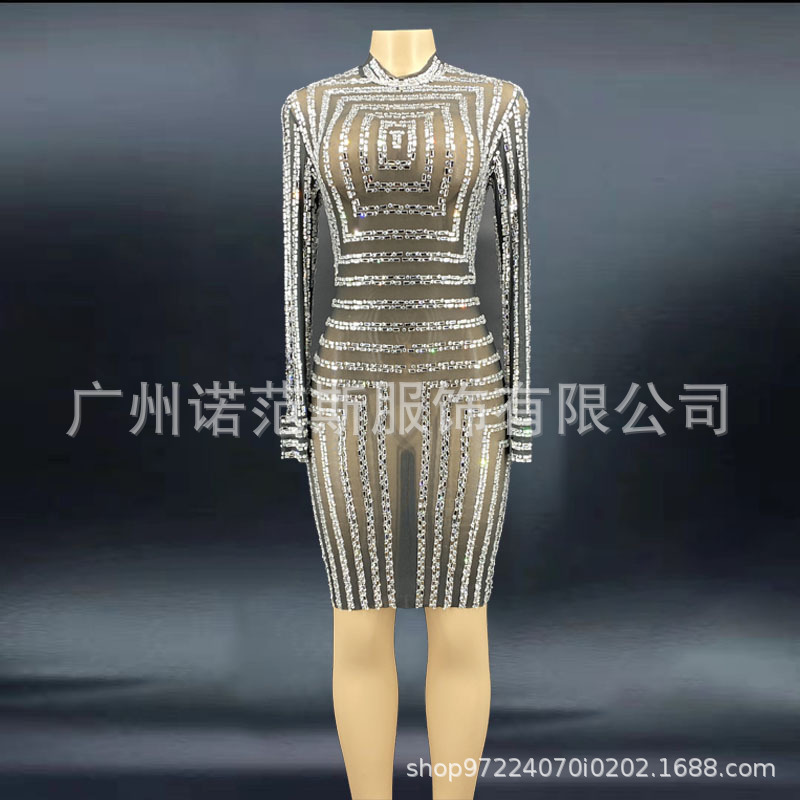 Shiny Sequins Transparent Sexy Large Size Dress Evening Dress Long Sleeve Fancy Dress Party Costume Regular Daily