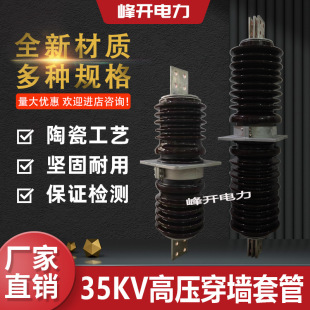 �߉������׹�10KV-20KV-24KV-35KV������մ��~�Ŵ�����ƿCWC-CWB