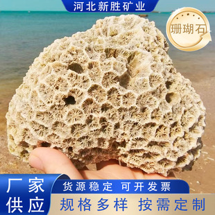 ɺ��ʯ�~��ˮ���쾰�������}���^�b[����׶�Ҏ����x�F؛���l