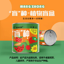 创意种植盲盒 易拉罐桌面盆栽种子观察盲盒 幼儿园学生礼品礼物