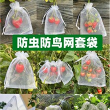 �W�״����x���B���W���״�����͸��o������ʯ��@ˇֲ��ˮ������