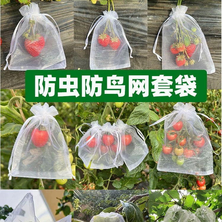 网套袋防虫防鸟纱网袋套袋葡萄透气无花果番石榴园艺植物水果藤蔓