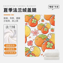 柿子插图卡通办公室学生午睡毯毛毯四季沙发午休披肩毯薄毯盖毯