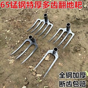 ���l�Ӻ��i䓰��ӷ����������z��r���_���z���X���X���X�z��