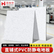 电子厂洁净室无尘车间耐磨机房永久性直铺式PVC防静电地板