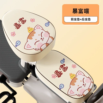 Electric car cushion – Battery Car Seat Cushion Cover Aima - rich-cat-front-seat-back-seat