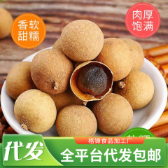 代发桂圆干大果莆田龙眼干袋装批发 小核厚肉果干泡水煲汤龙眼干