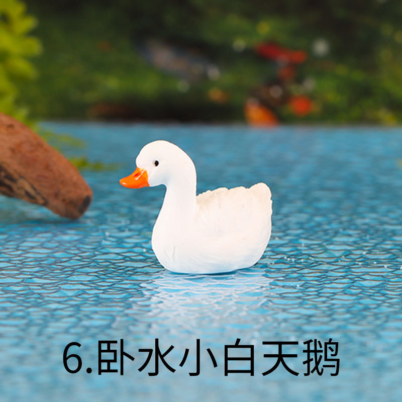 작은 흰색 백조 거짓말 물