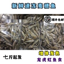 ���]���r��������~��С�~�����q������~�~ʳ���~���~��~������