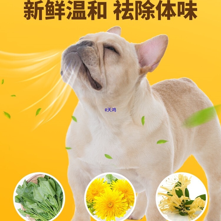 French Bulldog Dog Food 5kg Pack for Adult Bulldogs to Eliminate Odor, Puppies French Bulldog Freeze-Dried Dog Food