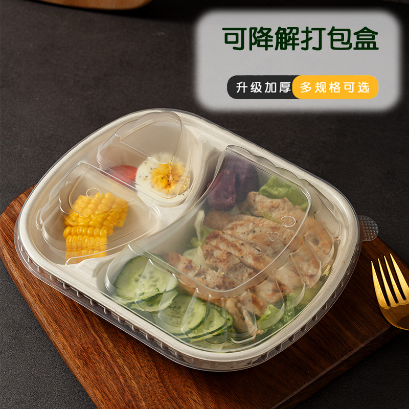 Caja de comidas degradable desechable cubierta alta caja de embalaje de tres compartimentos pulpa de celda única y doble para llevar caja de espessamiento de ensalada ppp