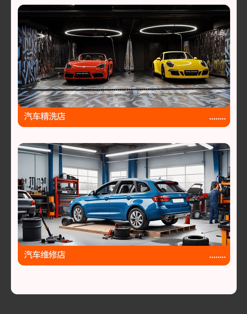 Black Cat High-Pressure Car Washer 220V Commercial Car Wash Shop Wall-Mounted High-Power Cleaning Machine Water Gun Car Wash Pump