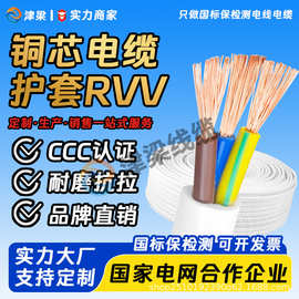 国标RVV护套线2/3/4芯2.5/4/6平方铜芯电缆线工程电线插座电源线