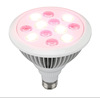 LED Red light physiotherapy lamp 660 Nanometer Wavelength cosmetology infra-red skin SPA nursing maintain Rejuvenation