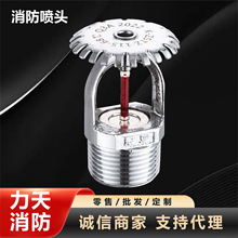 �������^ֱ���͇��^�´������ȇ������^�b��w�S�ҹ����������^