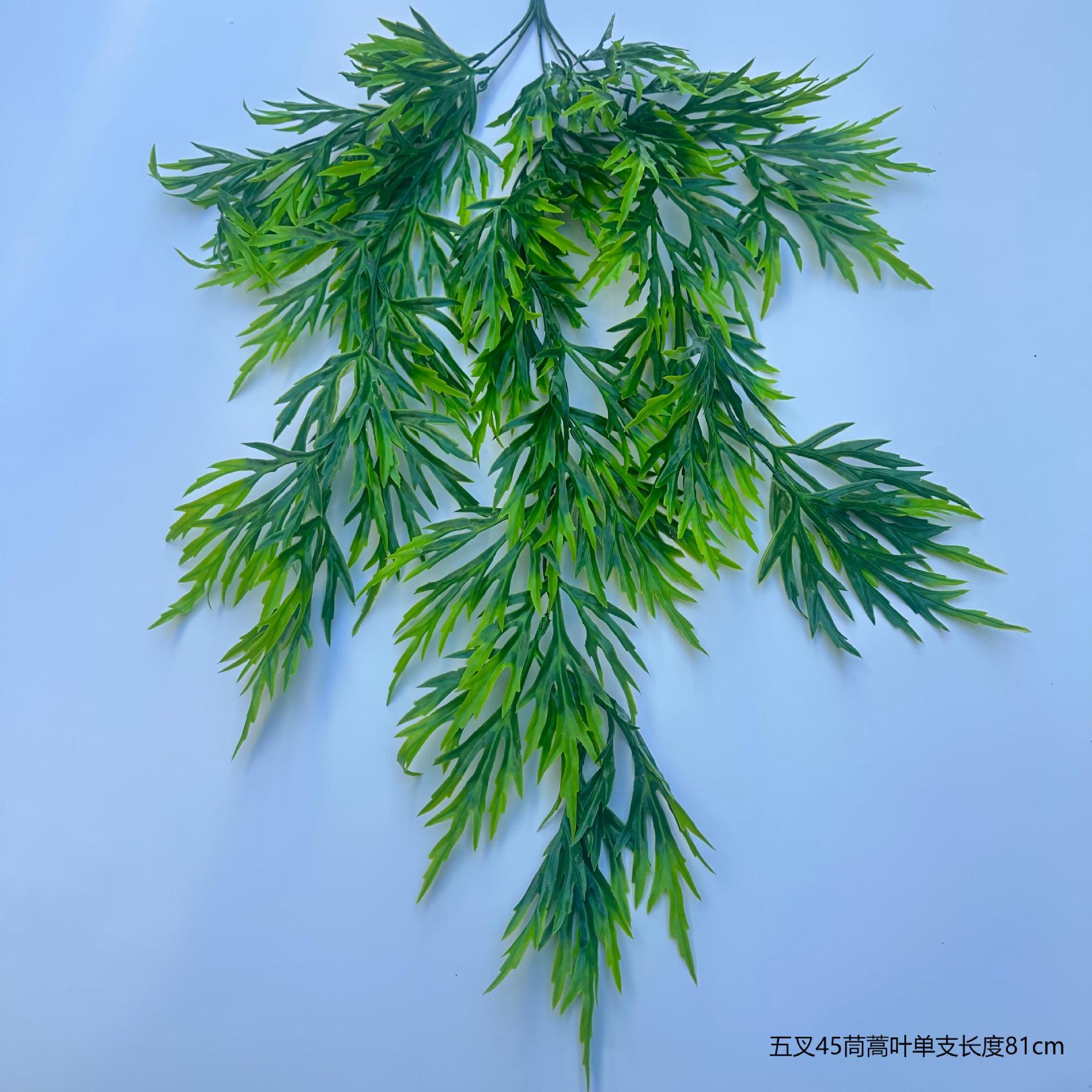 국화잎