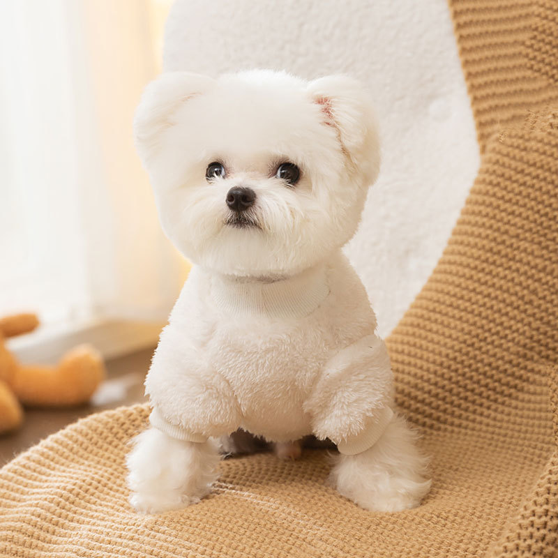 Estilo coreano lindo dibujos animados Otoño e Invierno moda perro oso parche bordado terciopelo gato de dos patas ropa de peluche para mascotas