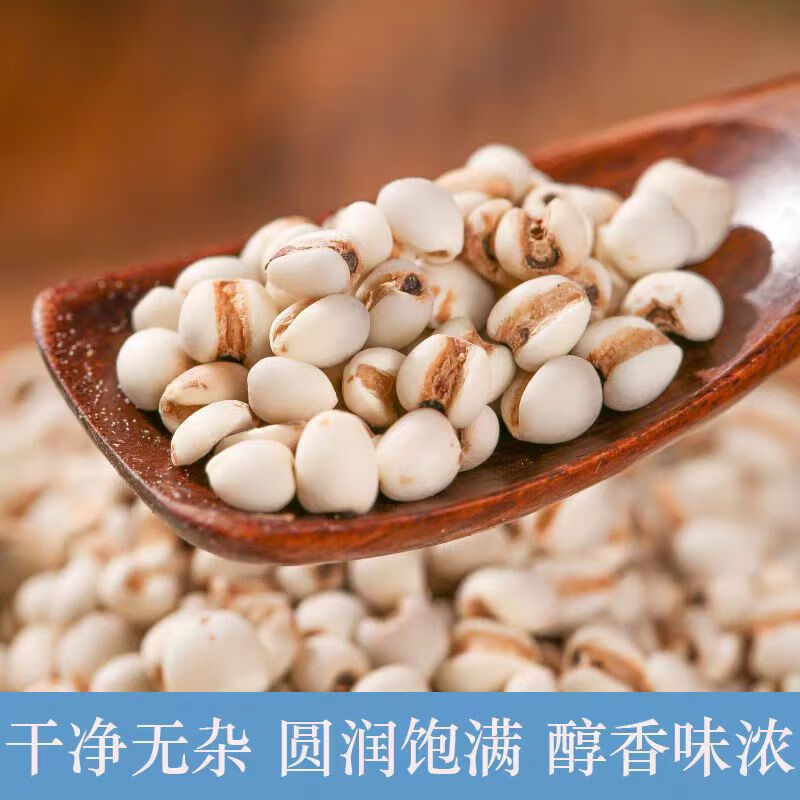 Coix Seed Yi Yi Ren 500g Dried Job's Tears Whole Grains for Soup Congee and Herbal Tea overview