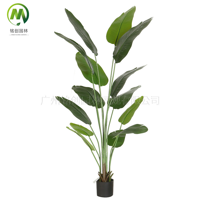 Simulación transfronteriza de hojas grandes, plantas verdes, plantas en macetas, bonsái de plátano para viajeros, sala de estar de alta gama, gran simulación, bonsái de pájaro del paraíso