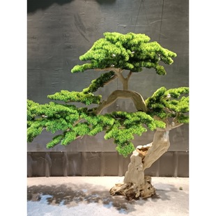 ӭ�����쾰�����_�h�ɼ��ɘ��̈��Ƶ��b�����ӭ���ɾ��^�[��