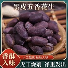 五香黑花生米250g黑皮花生米五香味下酒菜酥脆零食黑花生
