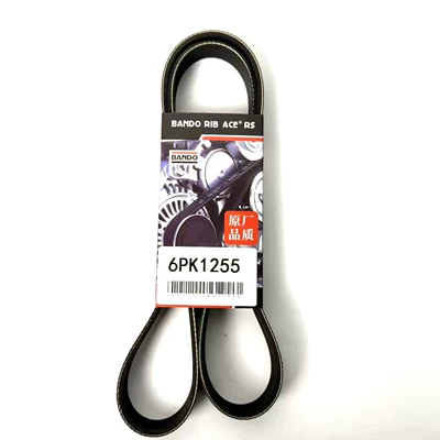 Belt Belt Compatible