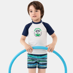 Momasong Children's Swimwear New Boys' Split Long Sleeve Swim Suit Baby Beach Sun Protection Quick Dry Swimwear