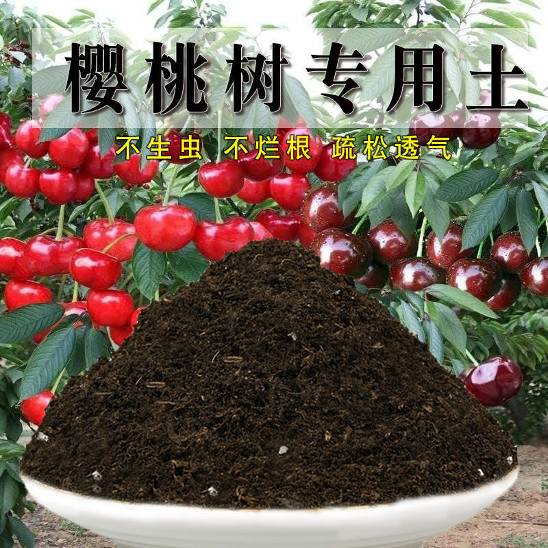 樱桃树专用土车厘子营养土种植土壤通用家用盆栽盆景养花有机肥料