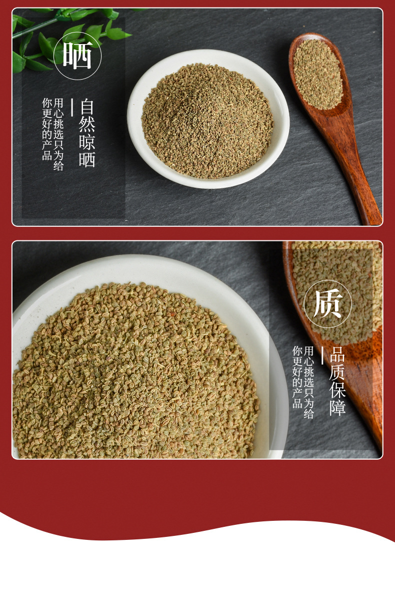 Celery Seed (Apium graveolens) — Dried Food-Herb Botanical for Tea & Culinary Use quality and texture