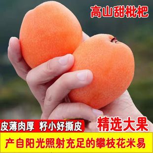 Loquat Low Price теперь собирает Sichuan Panzhihua Mi Yiyi Fresh Great Five -Star -блоки, Pipa, не -Юннан,