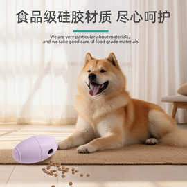 亚马逊新品硅胶宠物玩具猫狗漏食餐具耐撕咬易清洁慢食磨牙神器