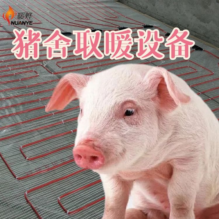 畜牧养殖电地暖碳纤维 肉鸭养殖取暖设备 暖烨 羊养殖棚取暖