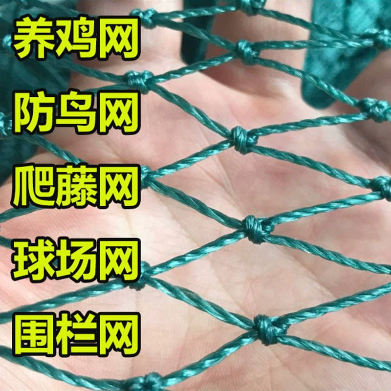 Птицеводство Небесная сеть Нейлоновая сеть Оградная сеть