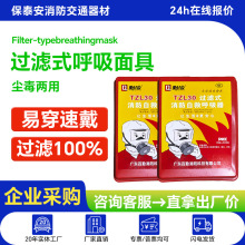 友安消防火灾过滤式消防面具逃生防烟防尘面罩TZL30A型自救呼吸器