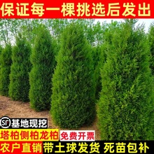 �ؘ���� ���� ����ɰ؂Ȱؘ���A���ɘ䌚����������G���ļ���