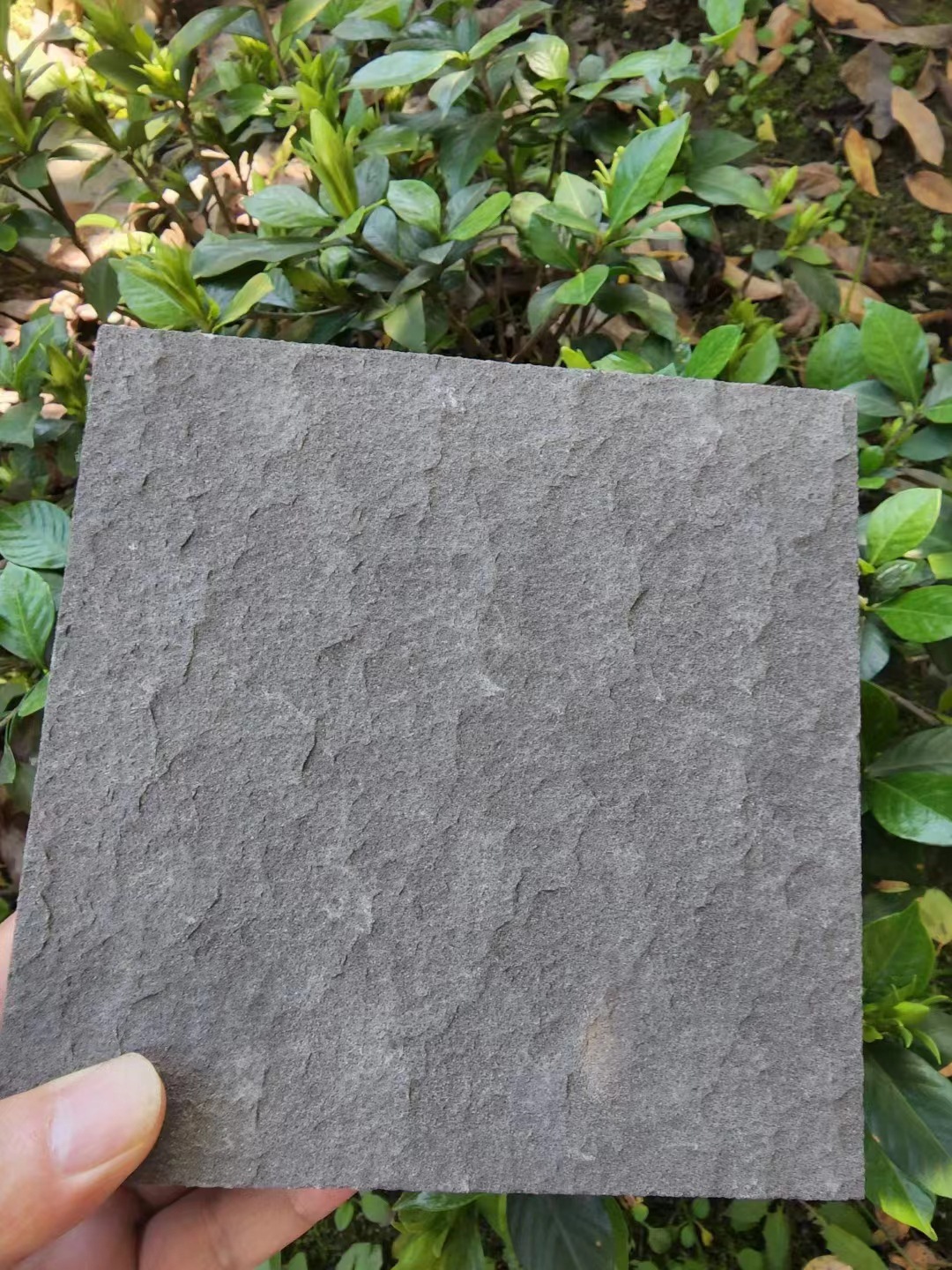 微信图片_20220913223149