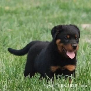 ����ֱ�N�_���{��Ȯ�_���{Ȯ���N���w��ϵ��ϵ���^�_���{����Ȯ