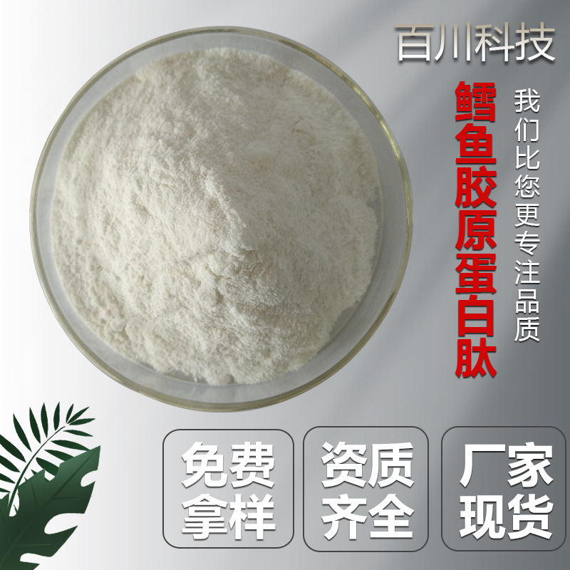 Cod Collagen Powder Deep Sea Cod Peptide Powder Hydrolyzed Collagen Small Molecule Peptide Powder Raw Material Source Manufacturer in Stock