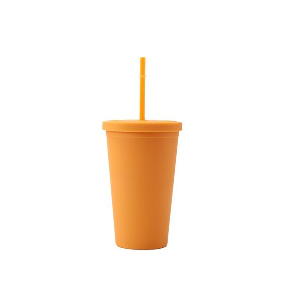 Cross-border Modern Simple Rubber Paint Solid Color Water Cup Cyber Celebrity Frosted Cartoon Portable Coffee Cup Double-layer Plastic Cup